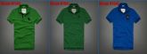 CAMISA HOLLISTER POLO 013