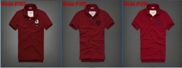 CAMISA HOLLISTER POLO 016