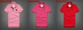 CAMISA HOLLISTER POLO 015